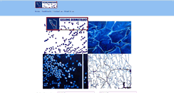 Desktop Screenshot of geelongdermatology.com.au